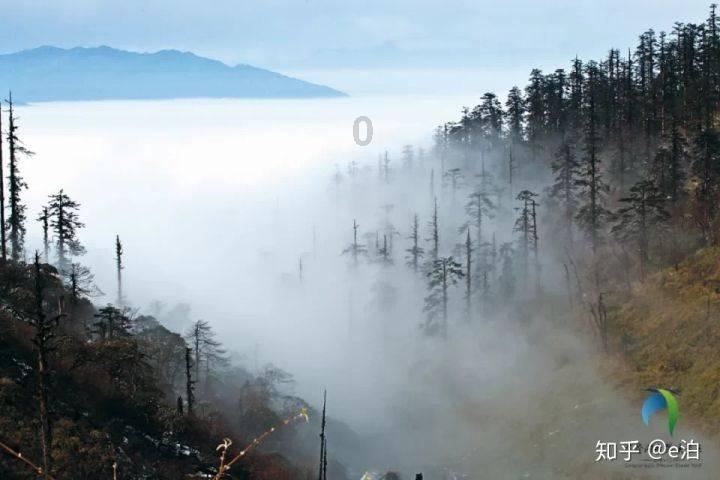 骑马与砍杀