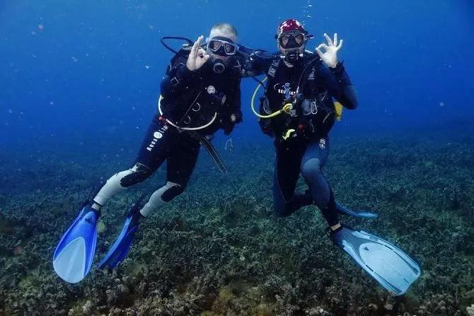加入玩具熊的午夜后官4知识星球,开启知识探索之旅!